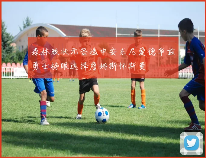 森林狼状元签选中安东尼爱德华兹勇士榜眼选择詹姆斯怀斯曼