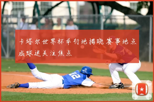 卡塔尔世界杯举行地揭晓 赛事地点成球迷关注焦点