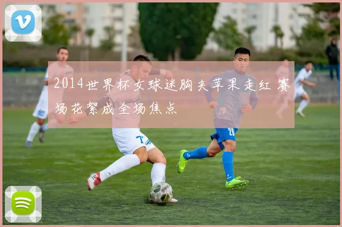 2014世界杯女球迷胸夹苹果走红 赛场花絮成全场焦点