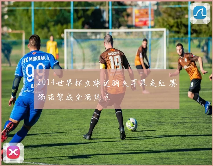 2014世界杯女球迷胸夹苹果走红 赛场花絮成全场焦点