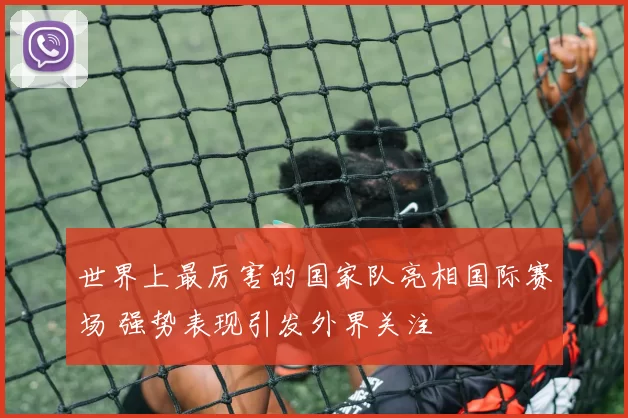 世界上最厉害的国家队亮相国际赛场 强势表现引发外界关注